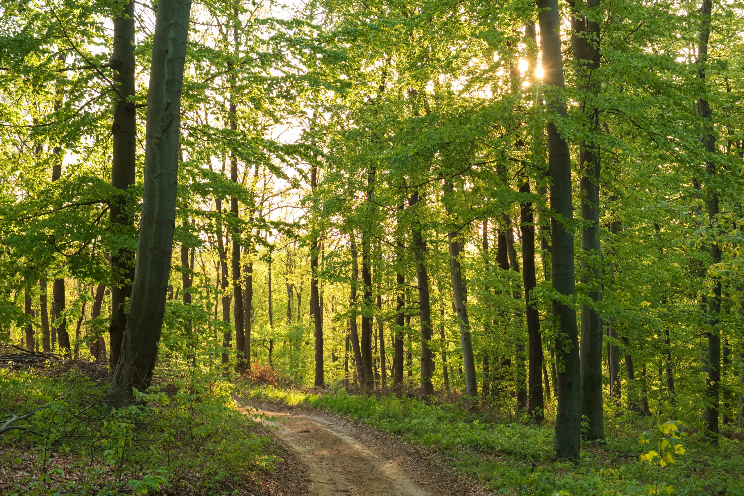 Kuva Alusen verkkokurssilla.