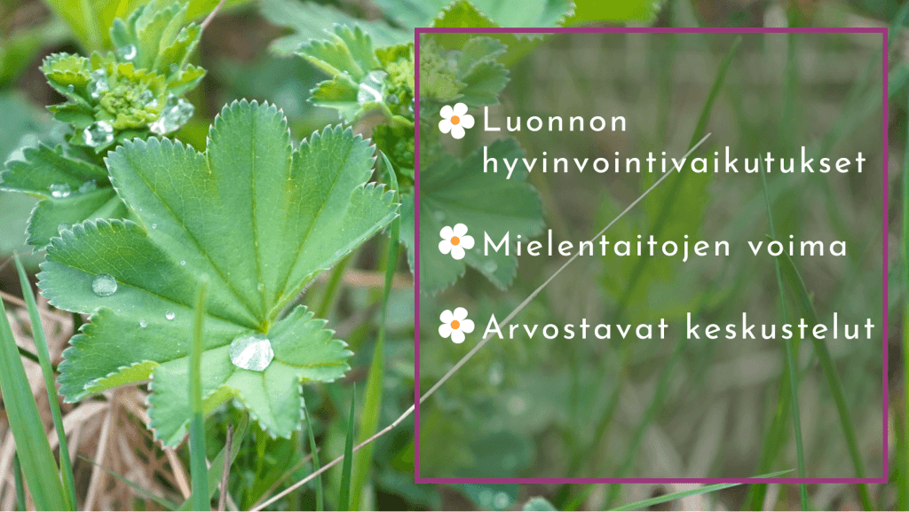 Hyvinvoinnilla työelämään Alusen valmennuksessa, jossa hyödynnetään luonnon hyvinvointivaikutuksia, mielentaitoharjoitteita sekä arvostavia keskusteluita.